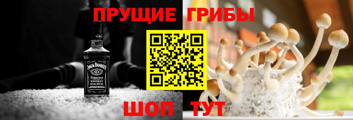 Галлюциногенные грибы мицелий Шахты